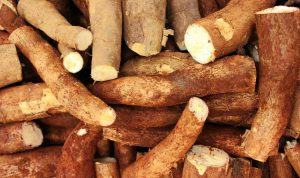 daniel-dan-0_GtcvY4Mj4-unsplash_11zon