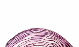 leonie-vreden-l8RACf3Ta4M-unsplash_11zon (1)