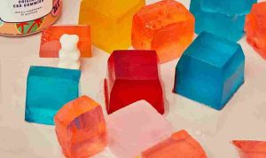 not-pot--usGhtItKJQ-unsplash_11zon