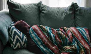 rex-pickar-9RKmE8RYYlk-unsplash_11zon